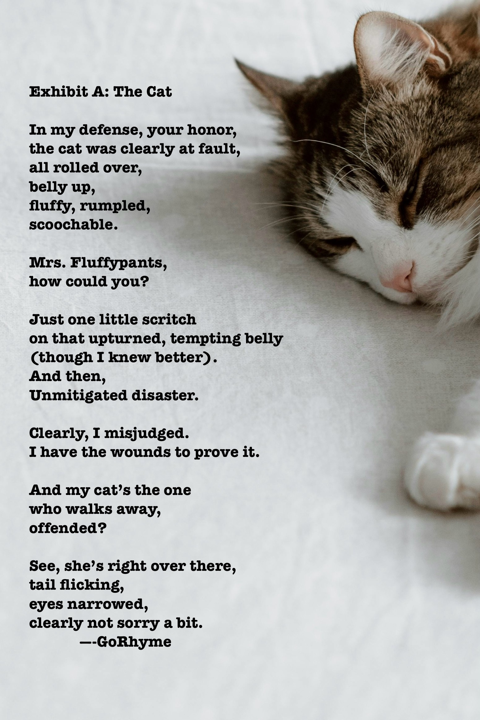 Poetry by Kelly Gray
